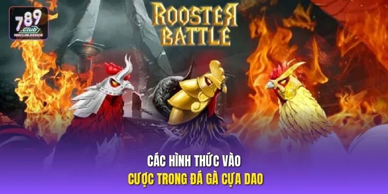 Các hình thức vào cược trong đá gà cựa dao