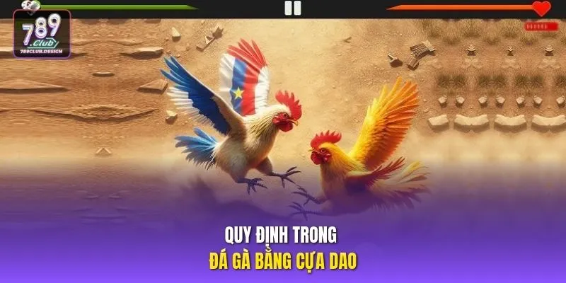 Quy định trong đá gà bằng cựa dao